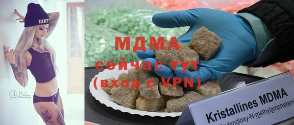 мдпв Богданович