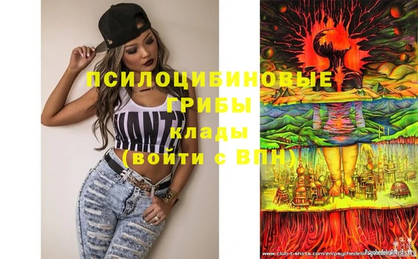 ГАЛЛЮЦИНОГЕННЫЕ ГРИБЫ Белоозёрский