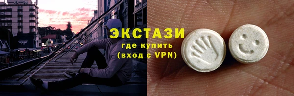 дживик Богородск