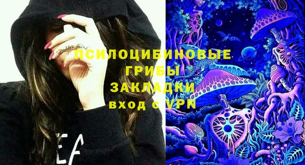 ГАЛЛЮЦИНОГЕННЫЕ ГРИБЫ Белоозёрский