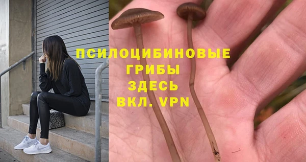 ГАЛЛЮЦИНОГЕННЫЕ ГРИБЫ Белоозёрский