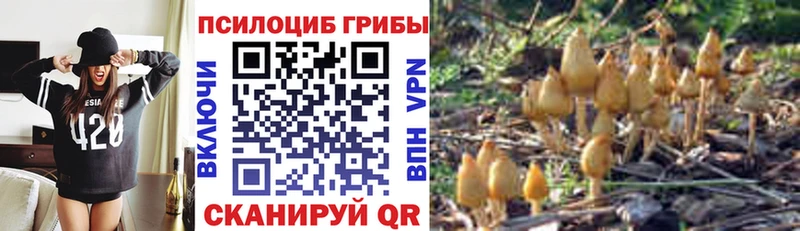 МЕГА сайт  купить   Пятигорск  Галлюциногенные грибы Magic Shrooms 
